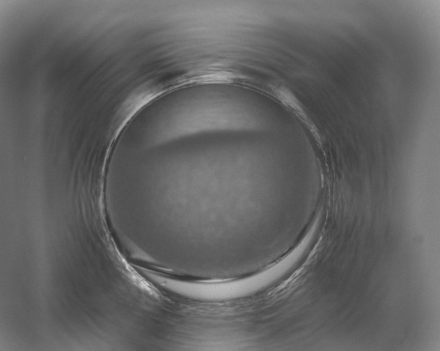 X0000058131194200509231110