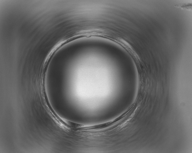 X0000058131196200509231110