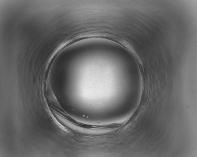 X0000058131197200509231110