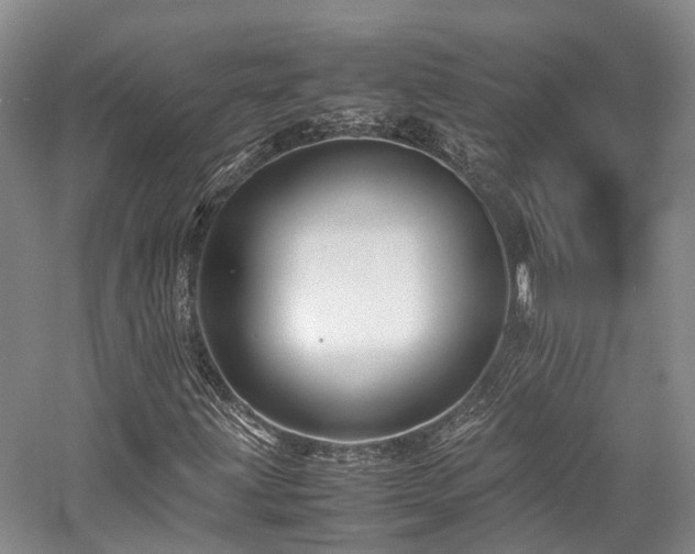 X0000058131203200509231109