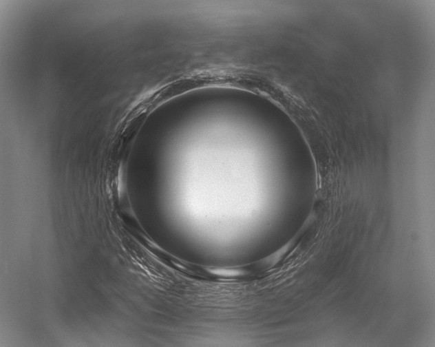 X0000058131206200509231110