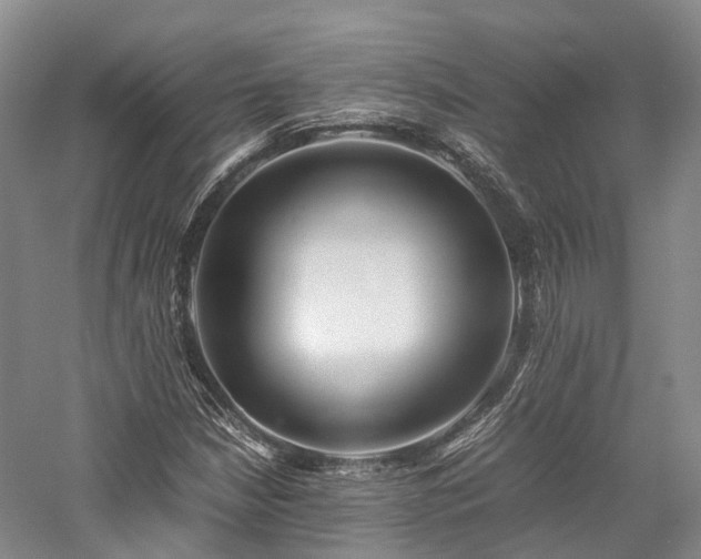 X0000058131210200509231110