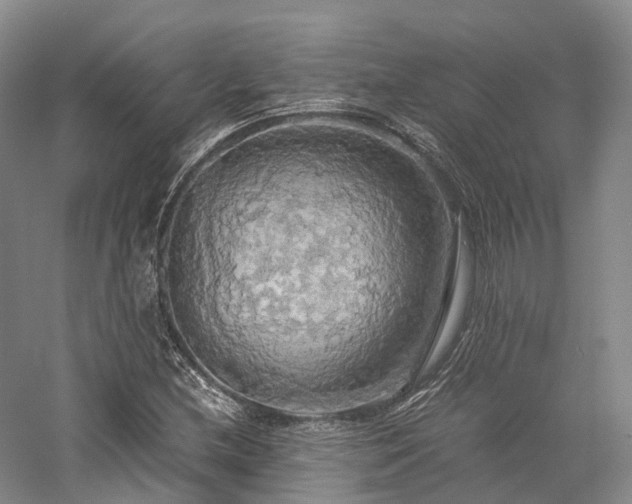 X0000058131212200509231110