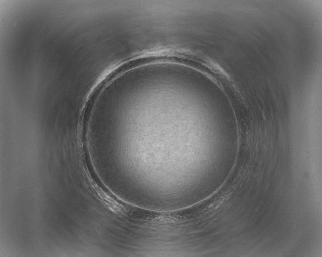 X0000058131216200509231110