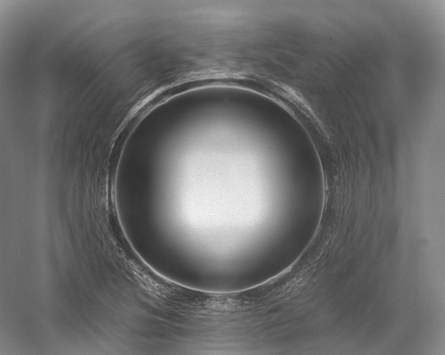 X0000058131220200509231110