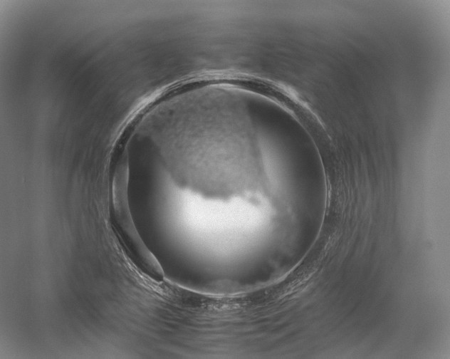 X0000058131221200509231110