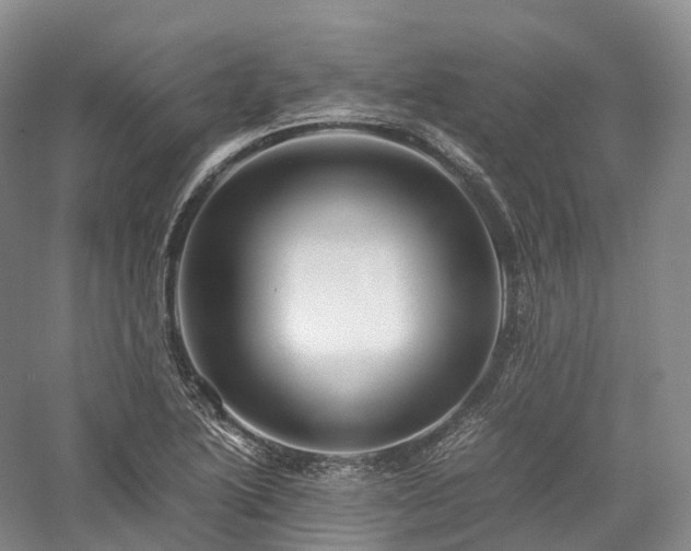 X0000058131222200509231110