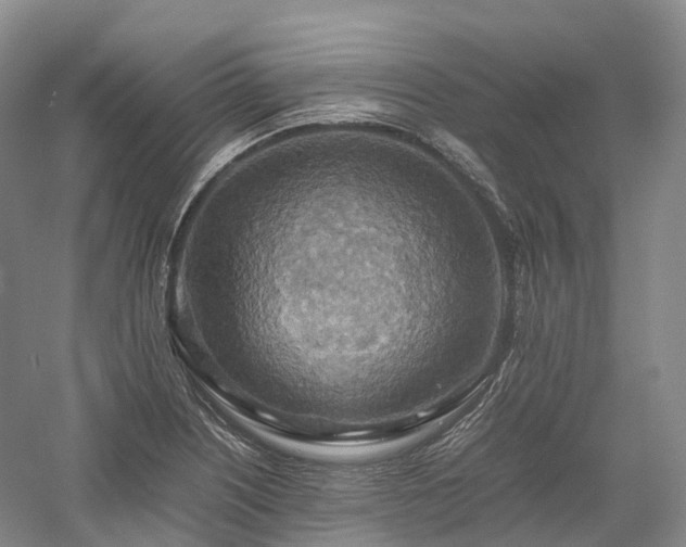 X0000058131226200509231110