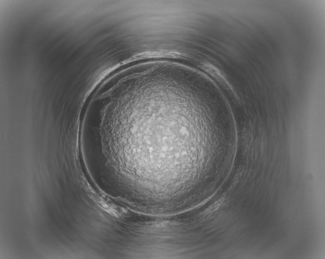 X0000058131228200509231110
