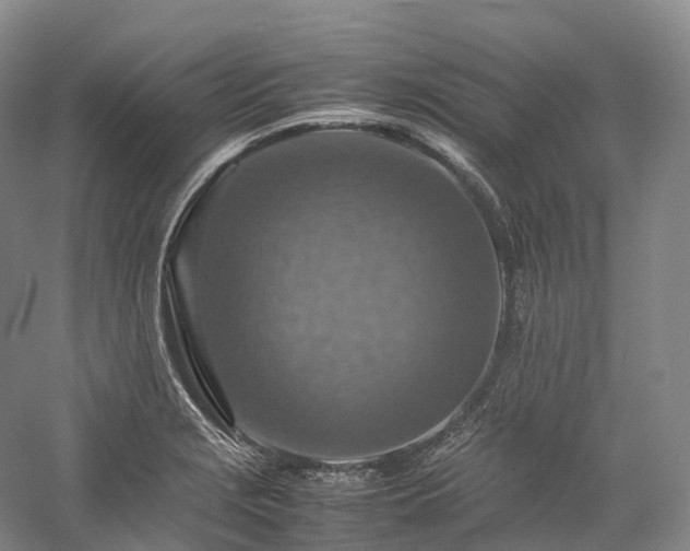 X0000058131229200509231110