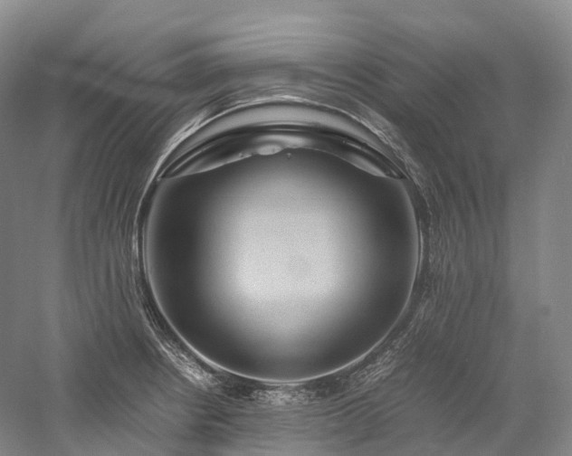 X0000058131234200509231110