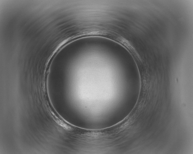 X0000058131236200509231110