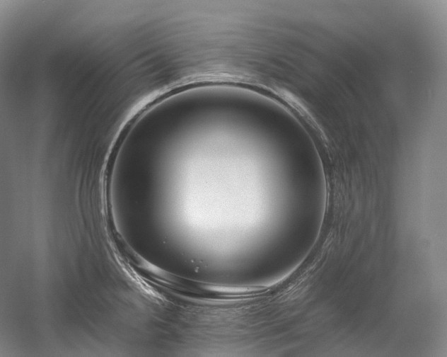 X0000058131238200509231110