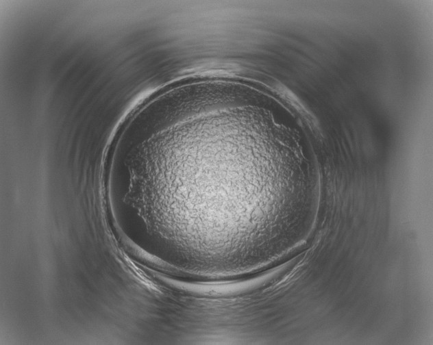 X0000058131240200509231110