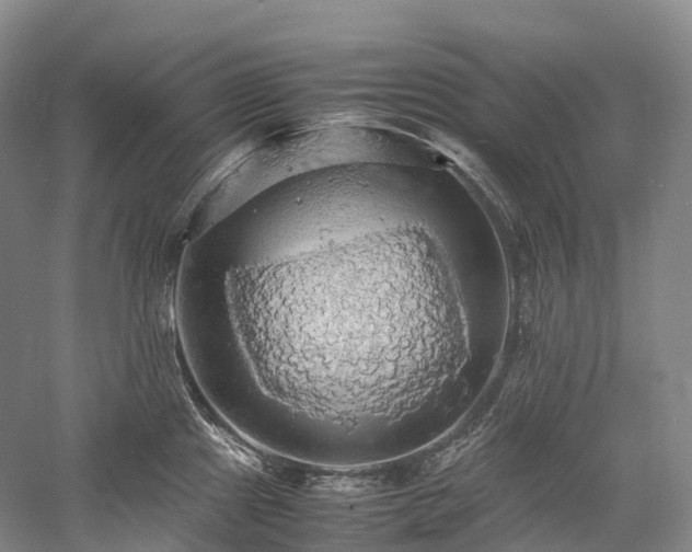 X0000058131241200509231110