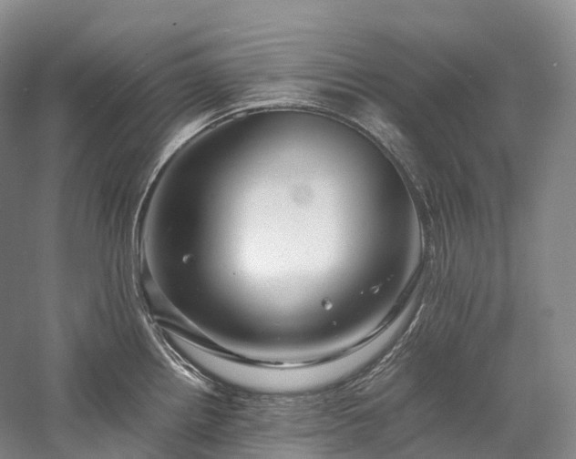 X0000058131242200509231110