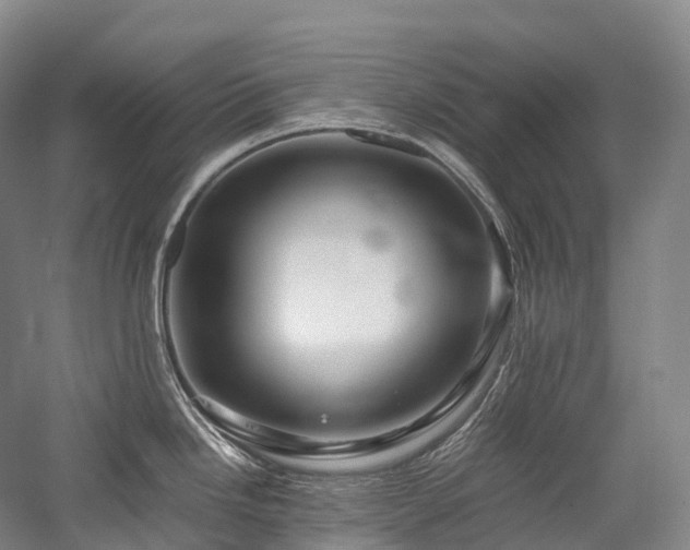 X0000058131246200509231110