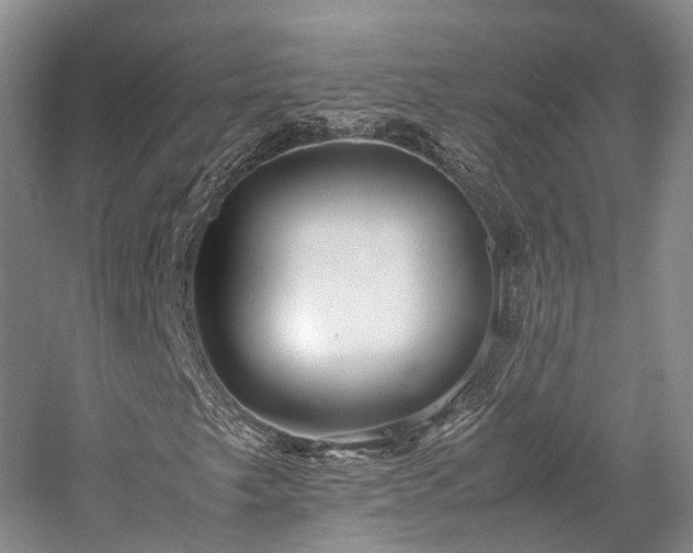 X0000058131249200509231109