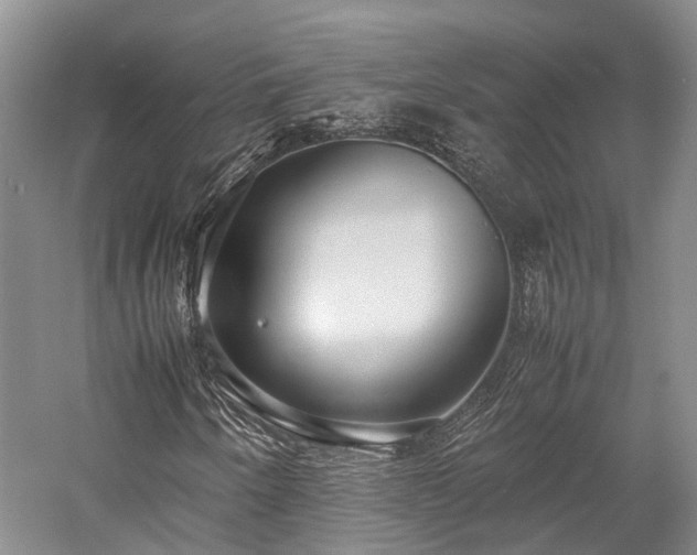X0000058131250200509231109