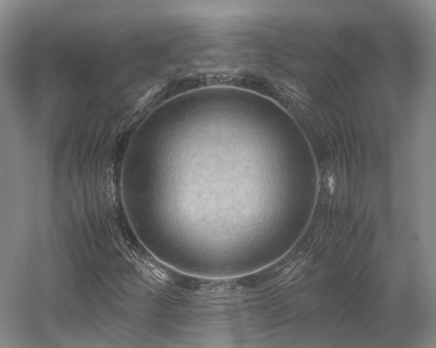 X0000058131252200509231109
