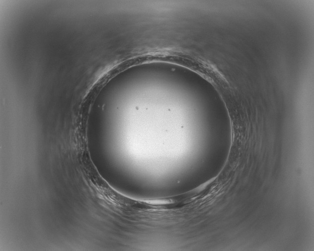 X0000058131256200509231109