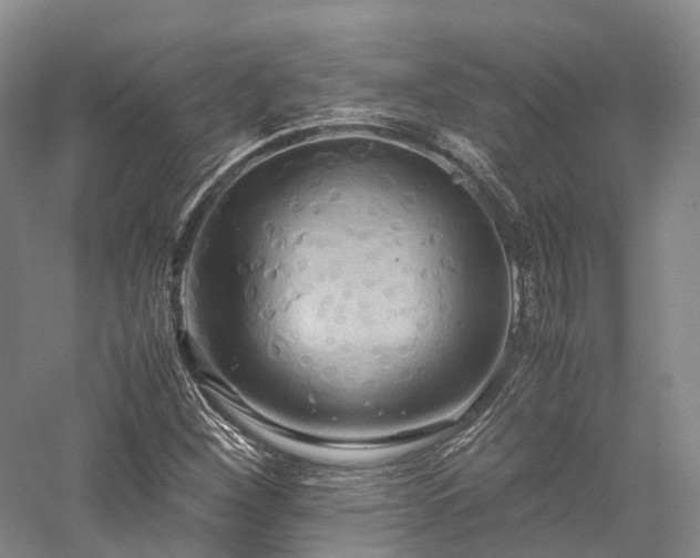 X0000058131260200509231109