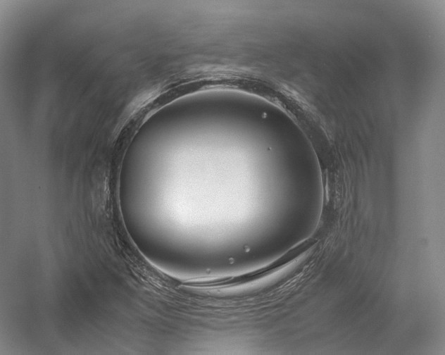 X0000058131261200509231109