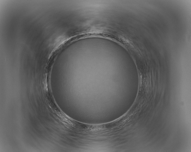 X0000058131262200509231109