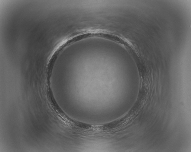 X0000058131263200509231109
