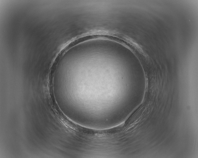 X0000058131264200509231109