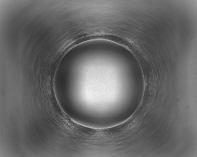 X0000058131265200509231109