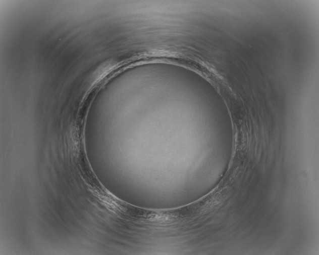 X0000058131266200509231109