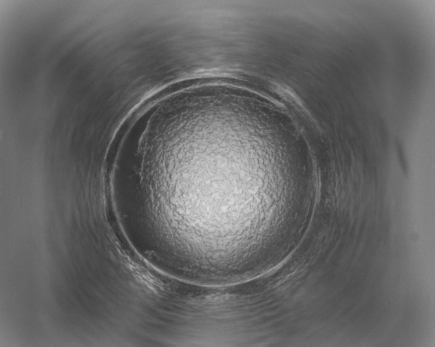 X0000058131268200509231109