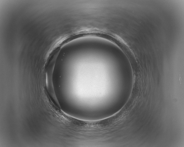 X0000058131269200509231109