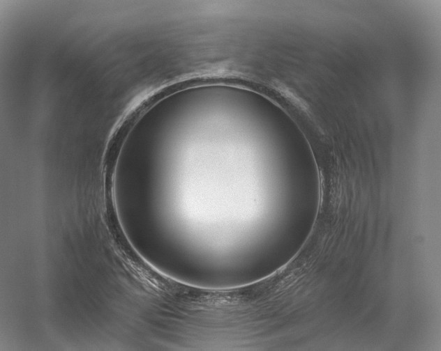 X0000058131270200509231109