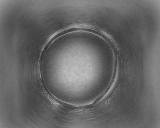 X0000058131272200509231109