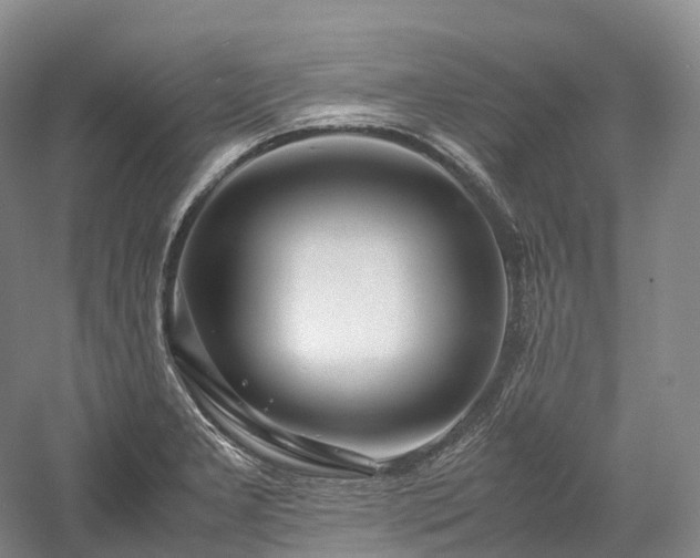 X0000058131277200509231109