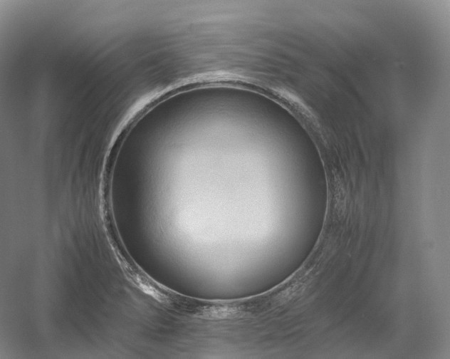 X0000058131278200509231109