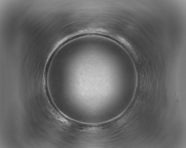 X0000058131280200509231109