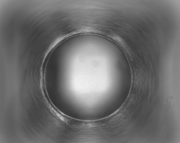 X0000058131286200509231109