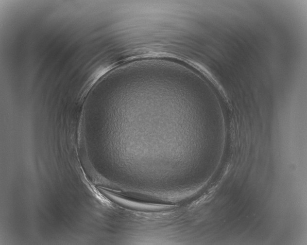 X0000058131289200509231109