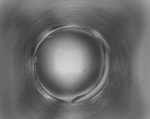 X0000058131292200509231109
