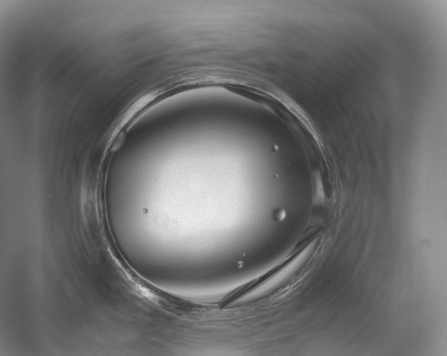 X0000058131293200509231109