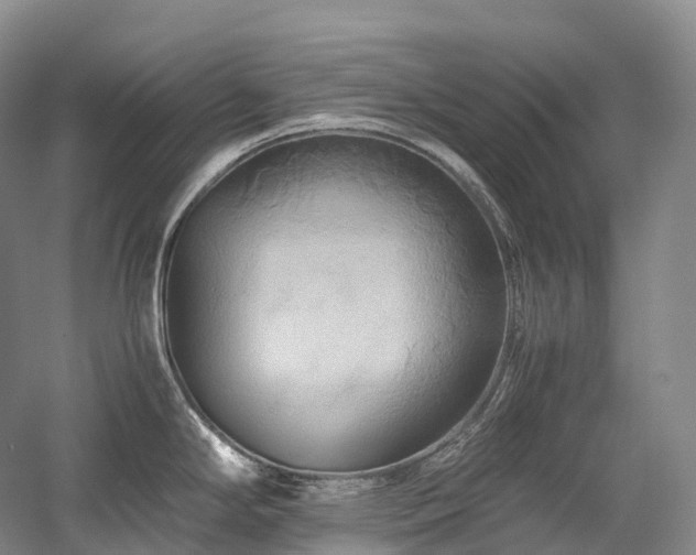 X0000058131294200509231109