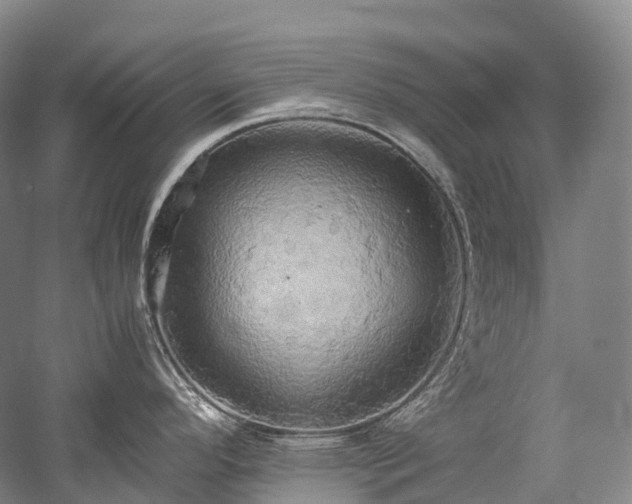 X0000058131296200509231109
