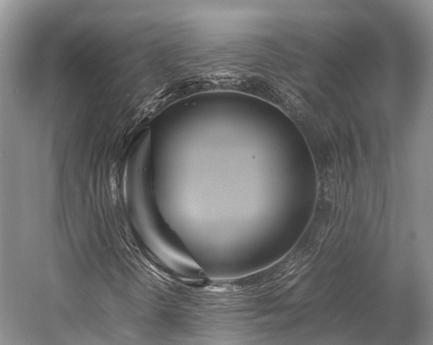 X0000058131298200509231108
