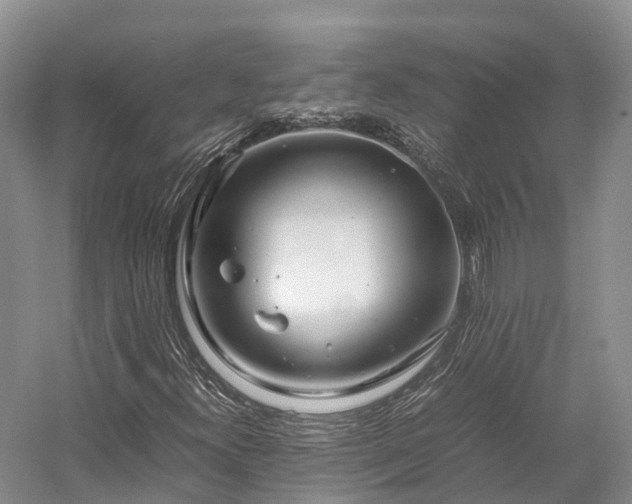 X0000058131300200509231108