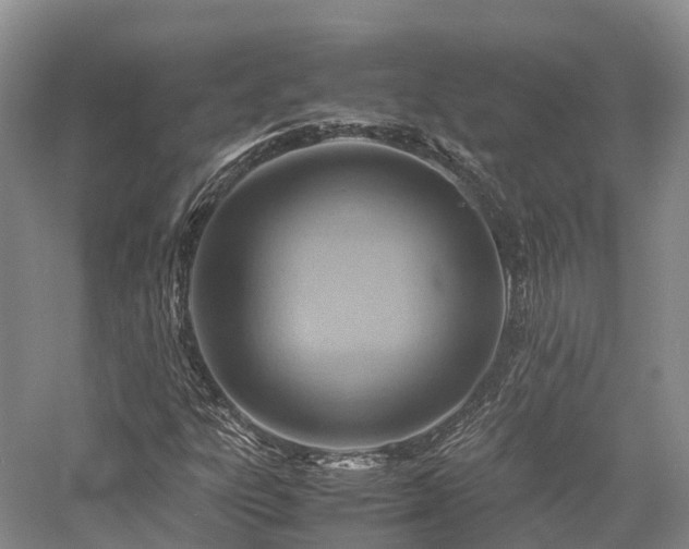 X0000058131303200509231108