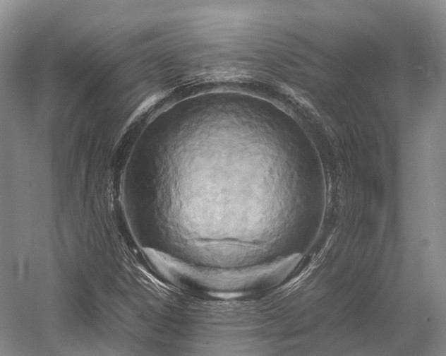 X0000058131306200509231108
