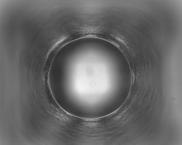 X0000058131309200509231108